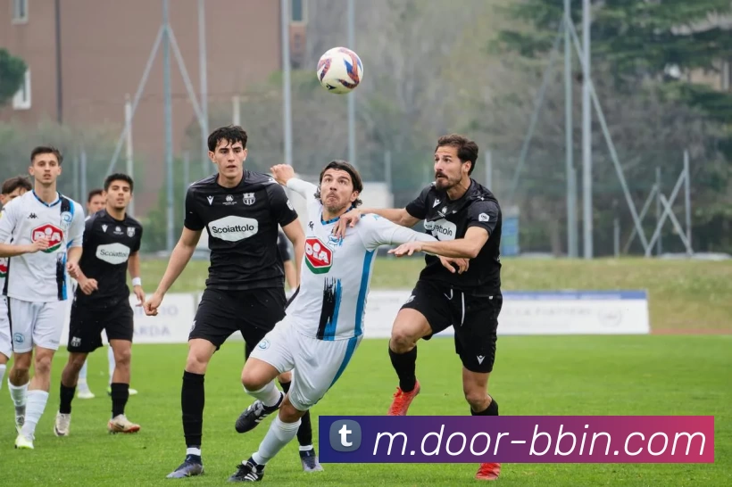 BBIN娱乐平台生态图