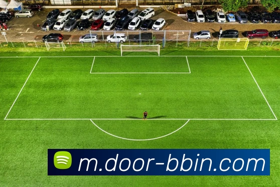 数据防护可视化